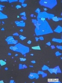 Structural Color Powder microscopy, blue series