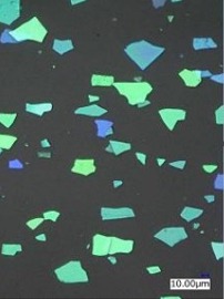 Structural Color Powder microscopy, green series