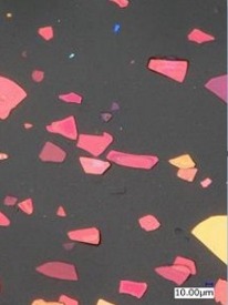 Structural Color Powder microscopy, red series